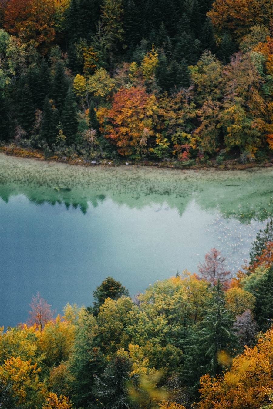 Autumn forest in the Jura: dark firs and orange deciduous trees by a lake